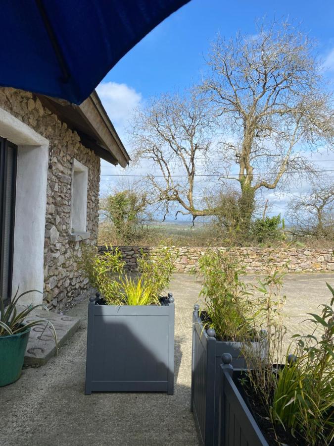 ווקספורד Kingsford Renovated Old Cottage מראה חיצוני תמונה