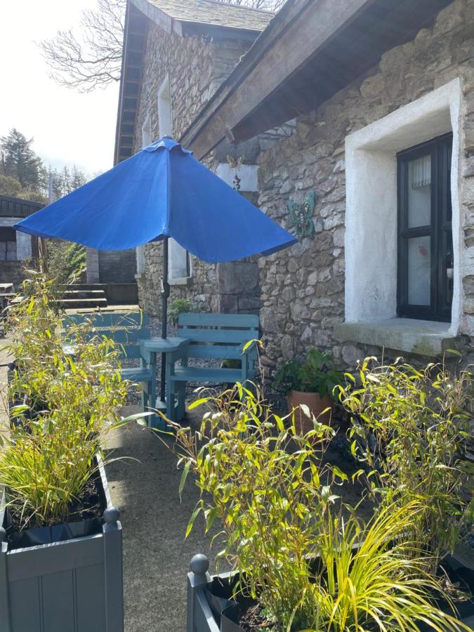 ווקספורד Kingsford Renovated Old Cottage מראה חיצוני תמונה